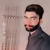 wattoo4t65