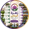 user590135932086