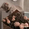 memoohmmad