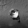 bbnotiktok31