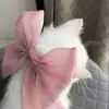 adri_fnt
