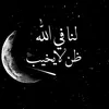 user8295328495551