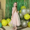 user4881626781380
