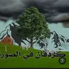 user7755199512482