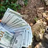 robert.brown5998