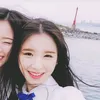 pieswi
