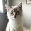 muffin.eats1