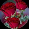 user7802717450575
