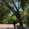 el_dani344