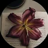 tasneem5903