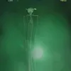 i.am.a.bigfinsquid