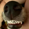 braydenfrfr1