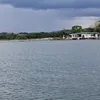 ricardocaal746
