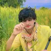 laiql1