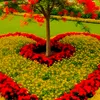 hiwet.alemu.abera