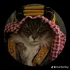 robsan573