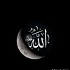user5130857803119