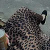 sofiaprincess42