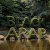 blackarap9