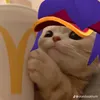 plinio.sobrinho8