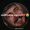 kin.kurbo