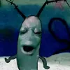 drrmaaaja