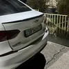 joldasovich7
