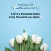 medya.rasul