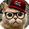 genzcafe7