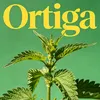 urtica_ortiga8