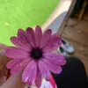 japo.niya_46