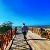 carlos.rojas4913