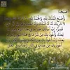 rooda.qani86