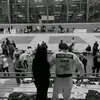 clutiy_009