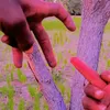 moamine.sawadogo2