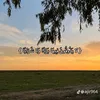 user7981817267284