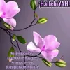 yulianabeatriz.av