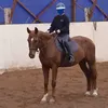 equik6
