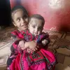 dasht32