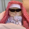 bassam8401