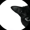 shad.16.a