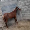 juanfra368