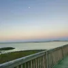 .secretmonkey1