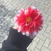 mariebecker08