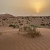 9ahr6