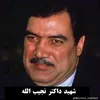 user4673345194339