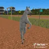 cheikh7848
