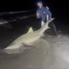 reeselikes2fish