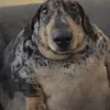 kendallismyfavcst