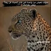 rami33470